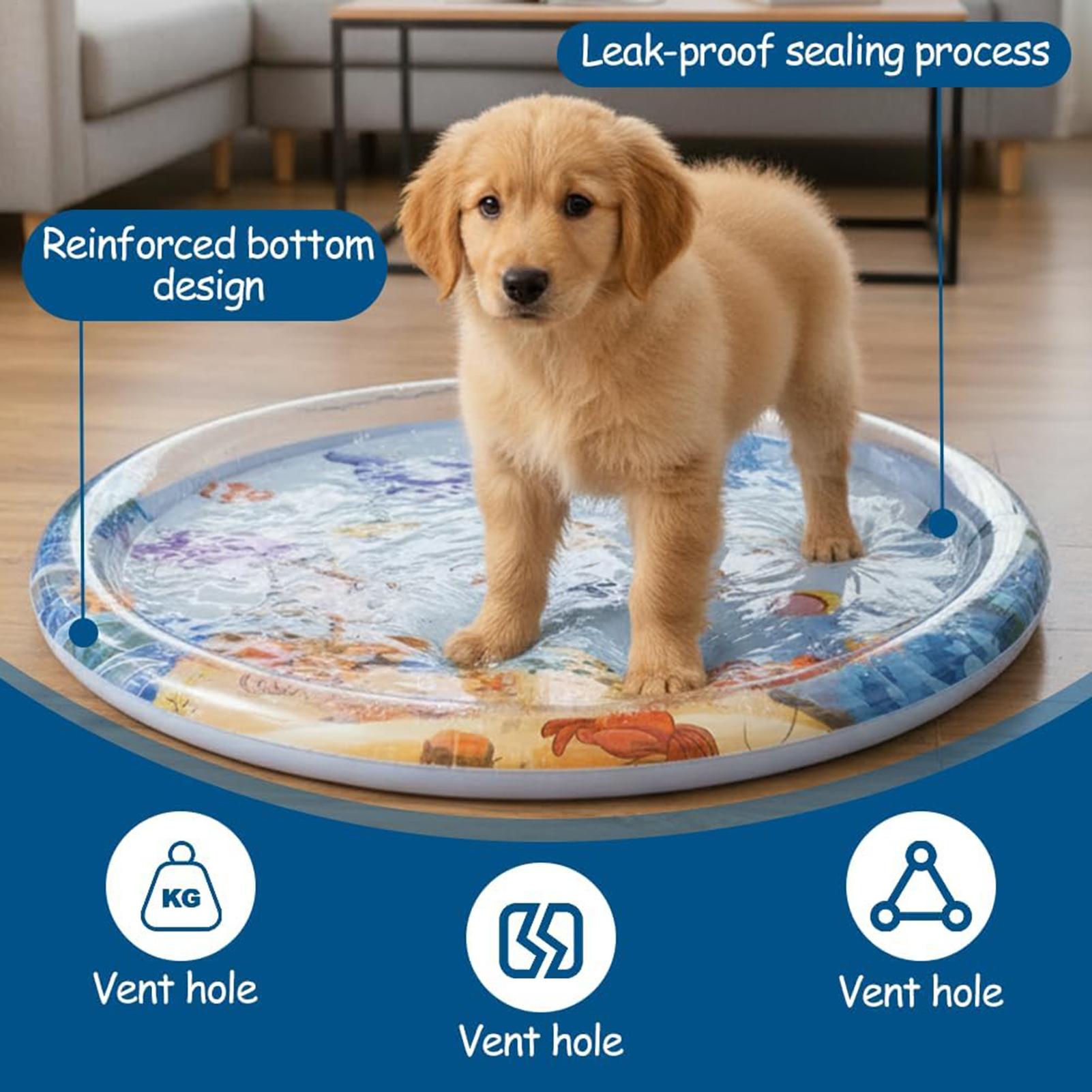 Slip Slide Water Mat - Alas Main Kucing Interaktif Tebal, Tempat